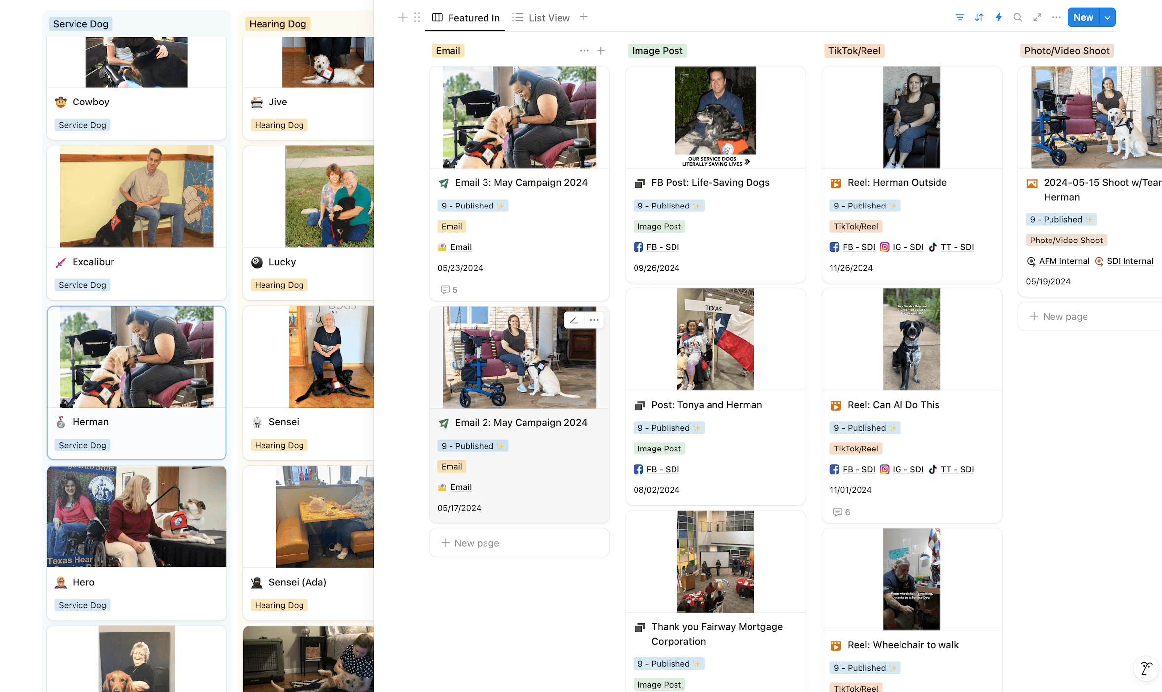 Profiles of proud service dog owners are stored in SDI's "Story Library."