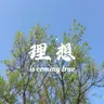 热爱整理的锦理的个人资料图片